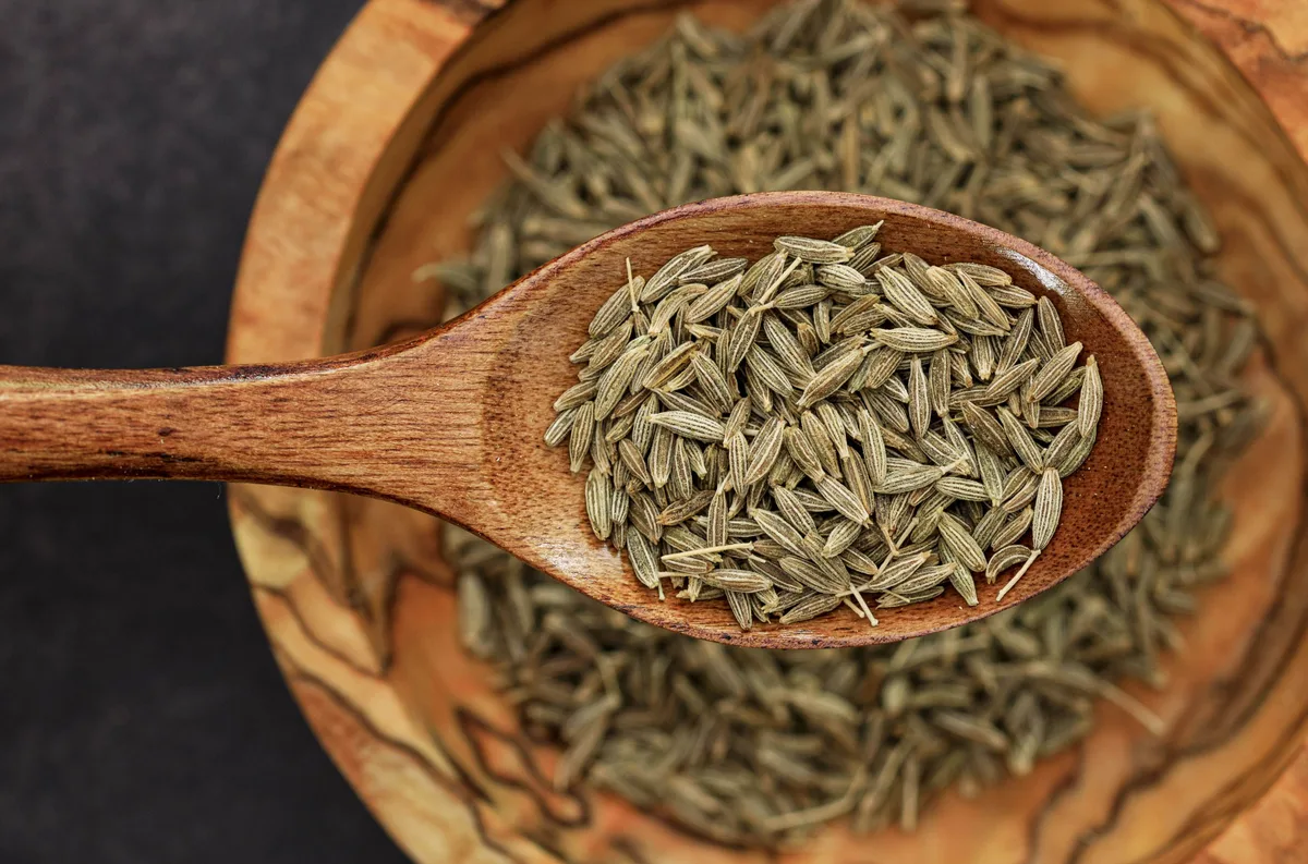 A wooden spoon of cumin seeds resting in a bowl of more cumin