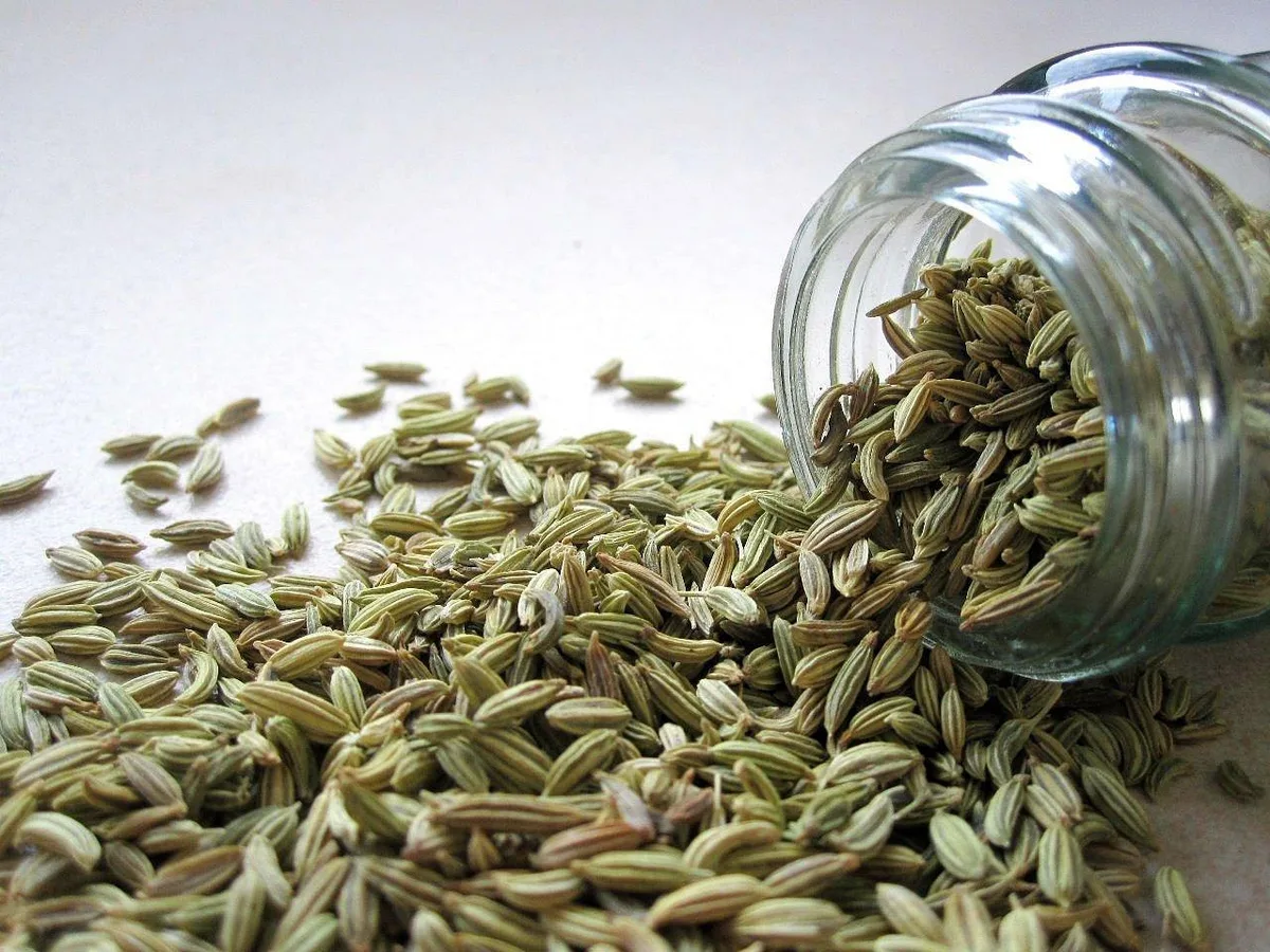 Fennel seeds spilling out of a small glass jar