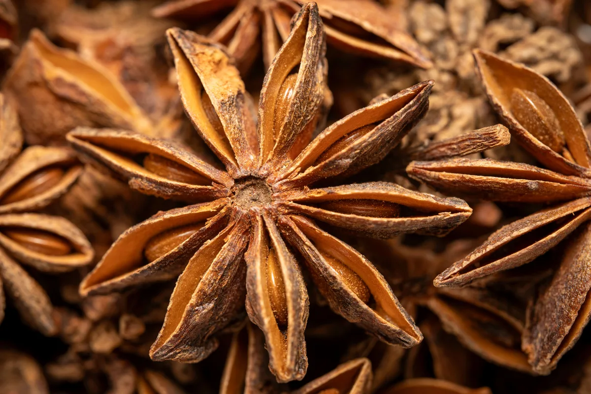 A close-up of whole star anise pods piled together