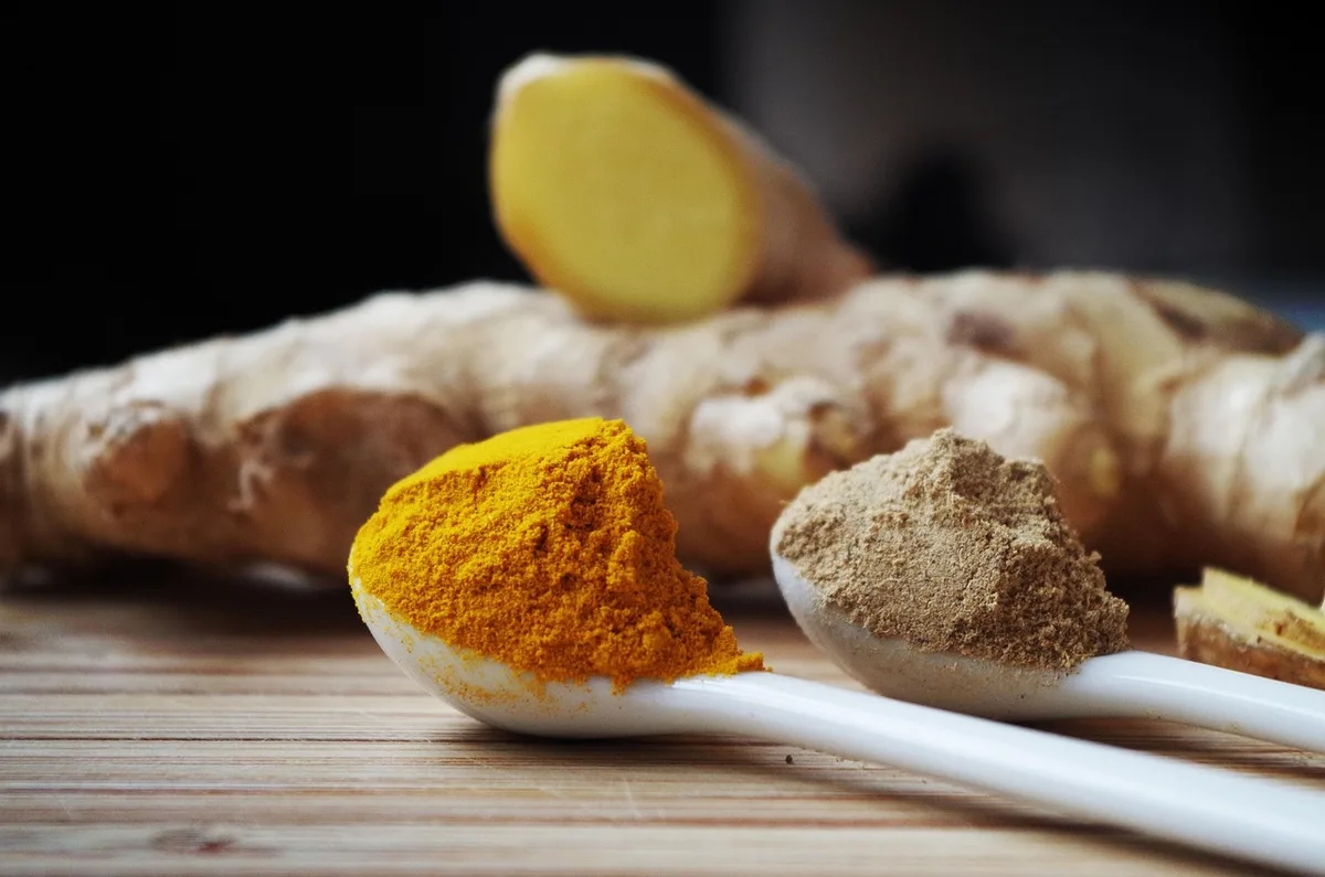 Fresh ginger root behind spoons of ground turmeric and ground ginger