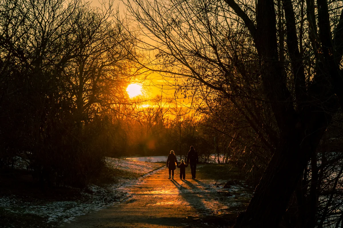 Two adults and a child walking along a path through bare trees at sunset, in silhouette