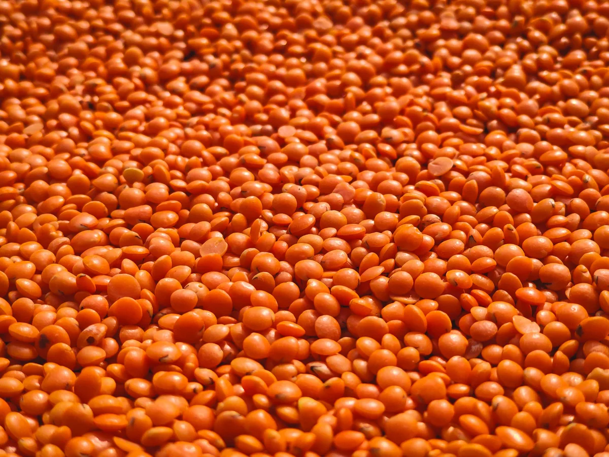 A close-up of split red lentils