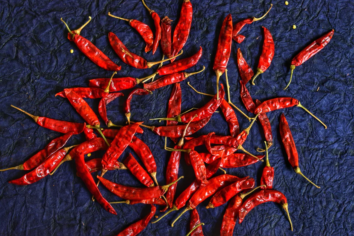 Dried red chilies scattered across dark blue paper