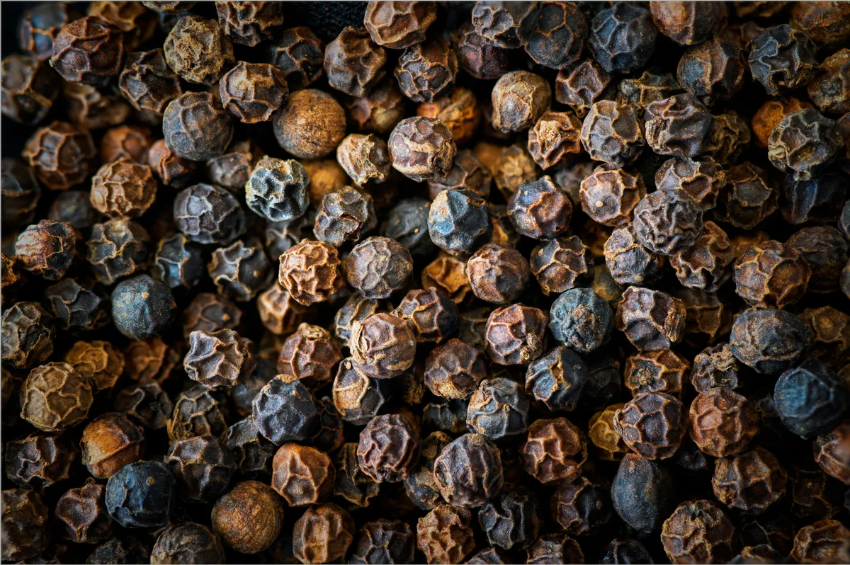A close-up of whole black peppercorns