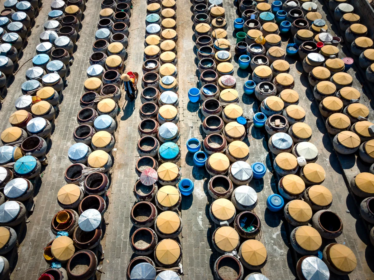 Rows of lidded fermentation jars at a fish sauce factory, seen from above