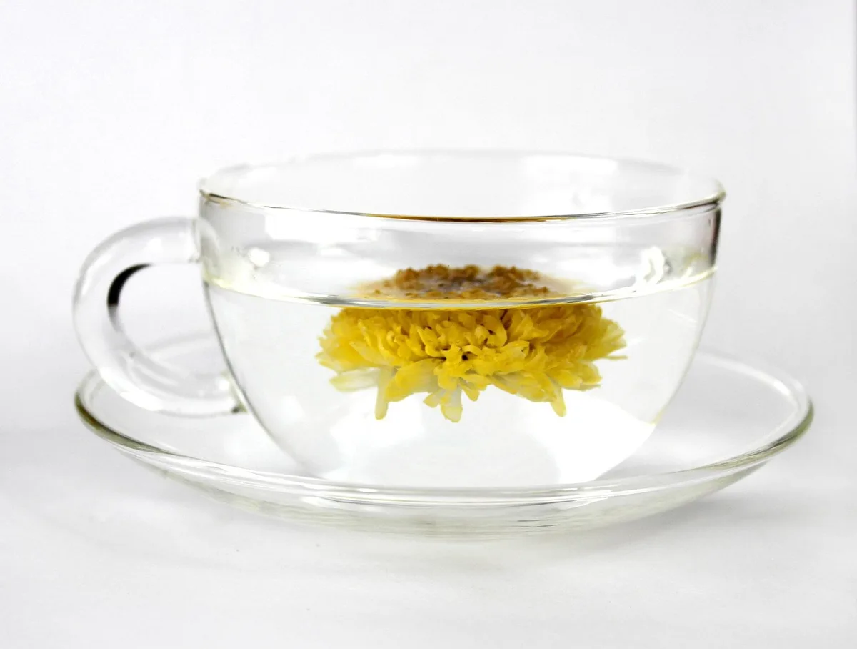 A whole yellow chrysanthemum flower floating in a glass cup of tea