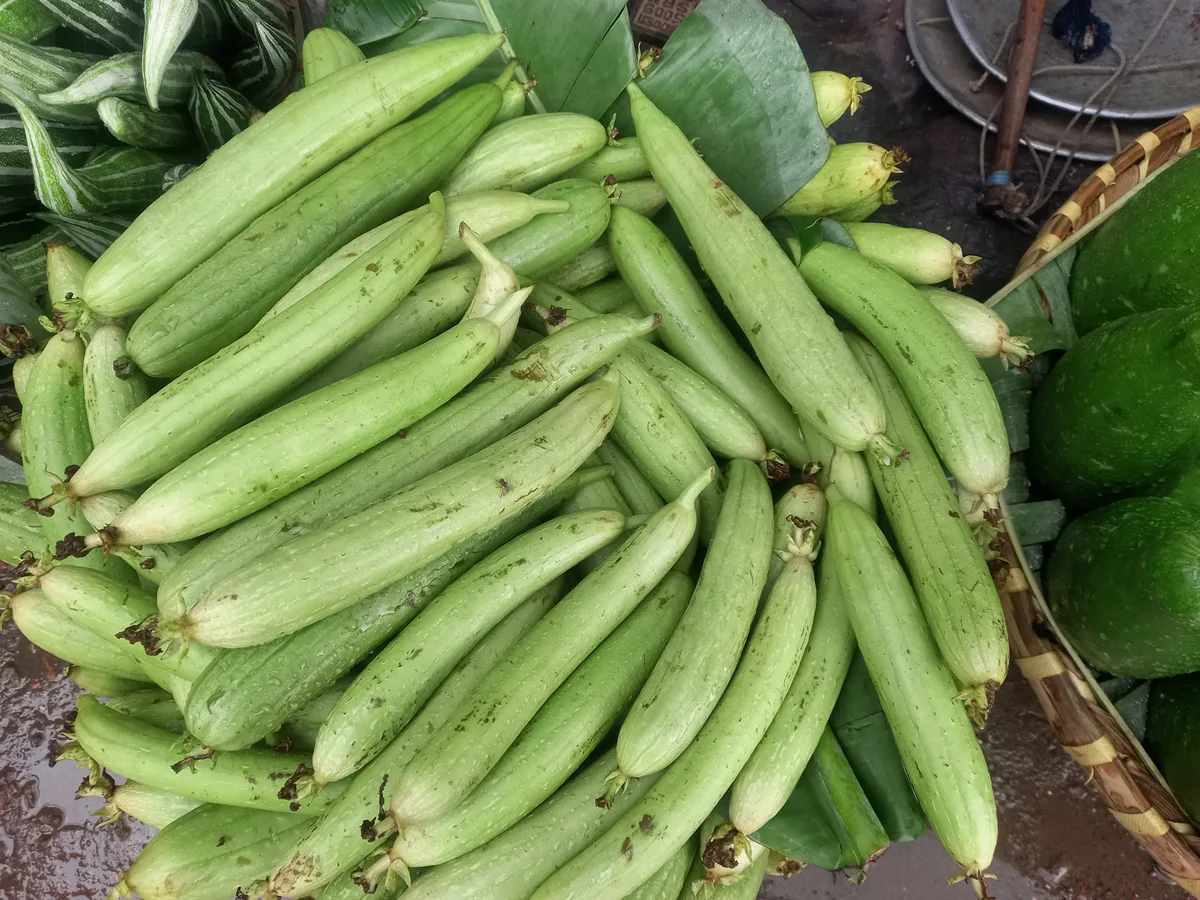 A heap of pale green sponge gourds piled beside a basket at a market