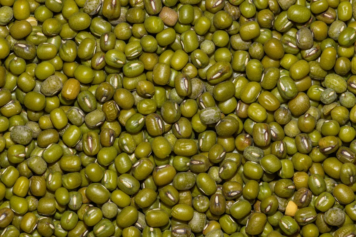 A close-up of dried whole mung beans