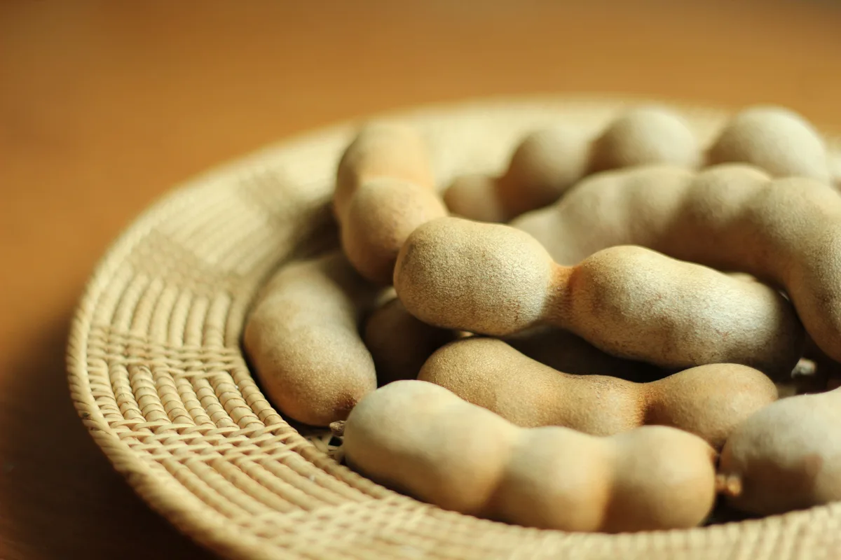 Whole tamarind pods piled in a woven basket