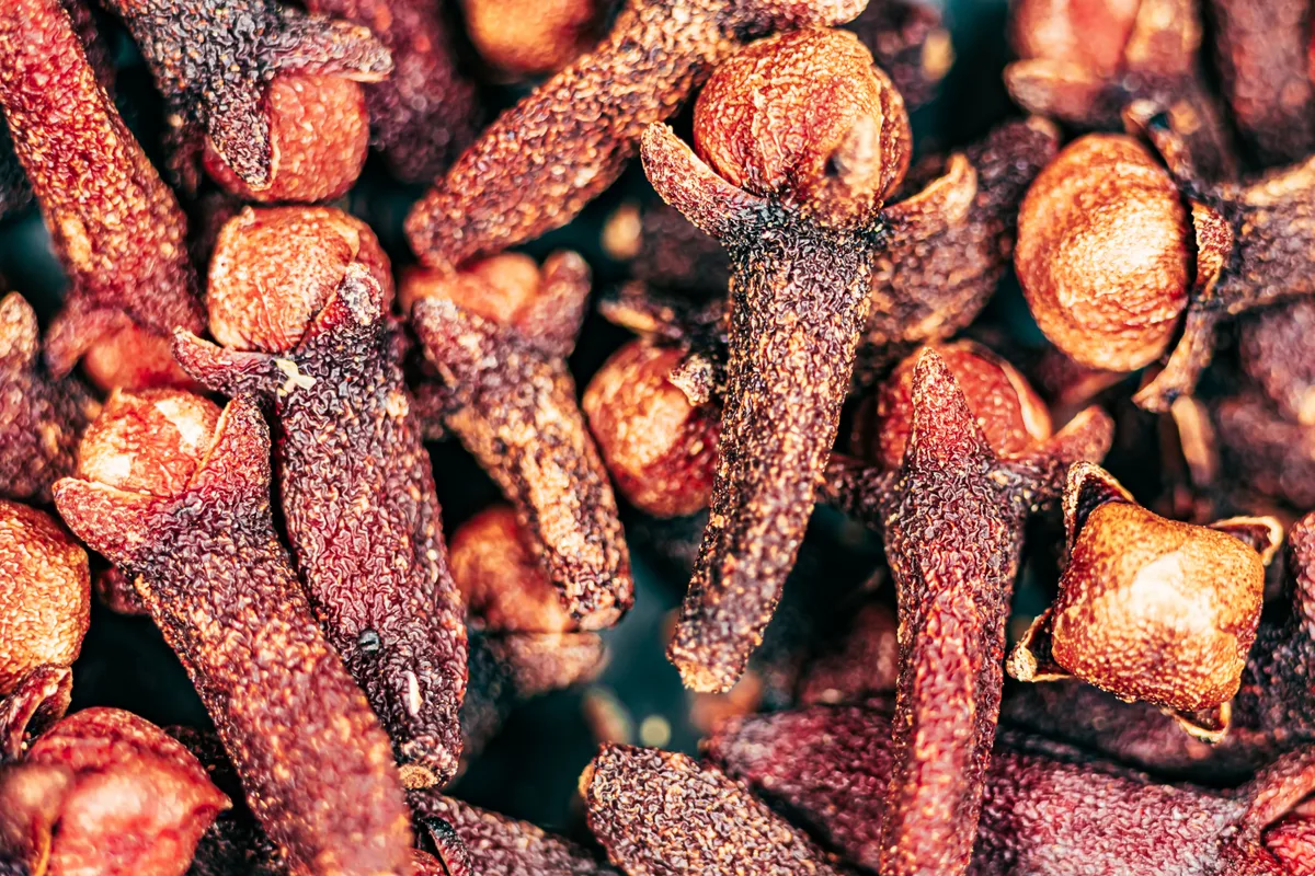 A close-up of whole dried cloves