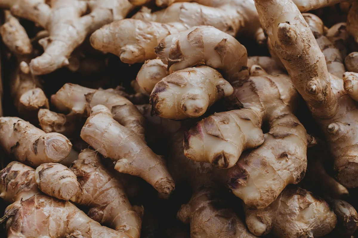 A heap of fresh ginger root