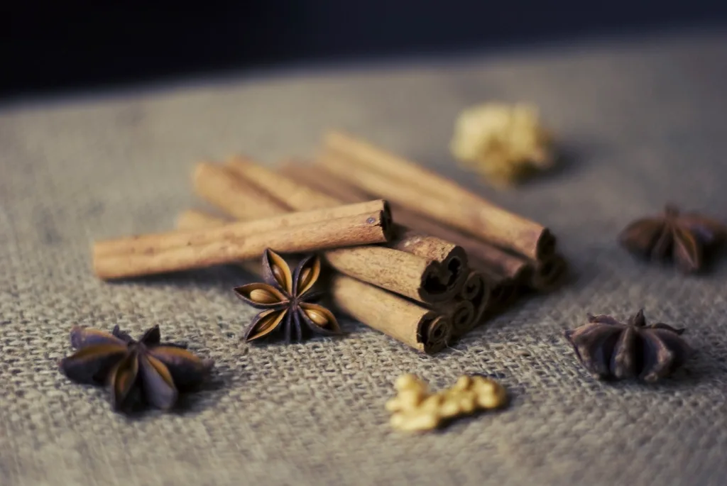 Cinnamon sticks and star anise pods on burlap