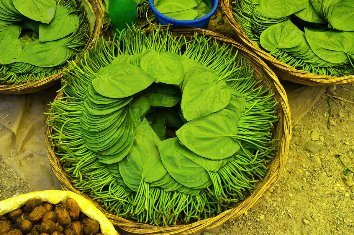 Stacks of fresh betel leaves arranged in round wicker baskets at a market